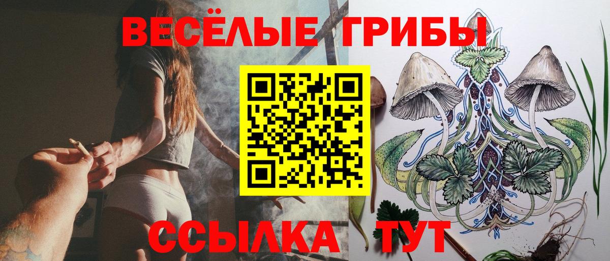 Галлюциногенные грибы Psilocybine cubensis  Вход с VPN  Ярославль 